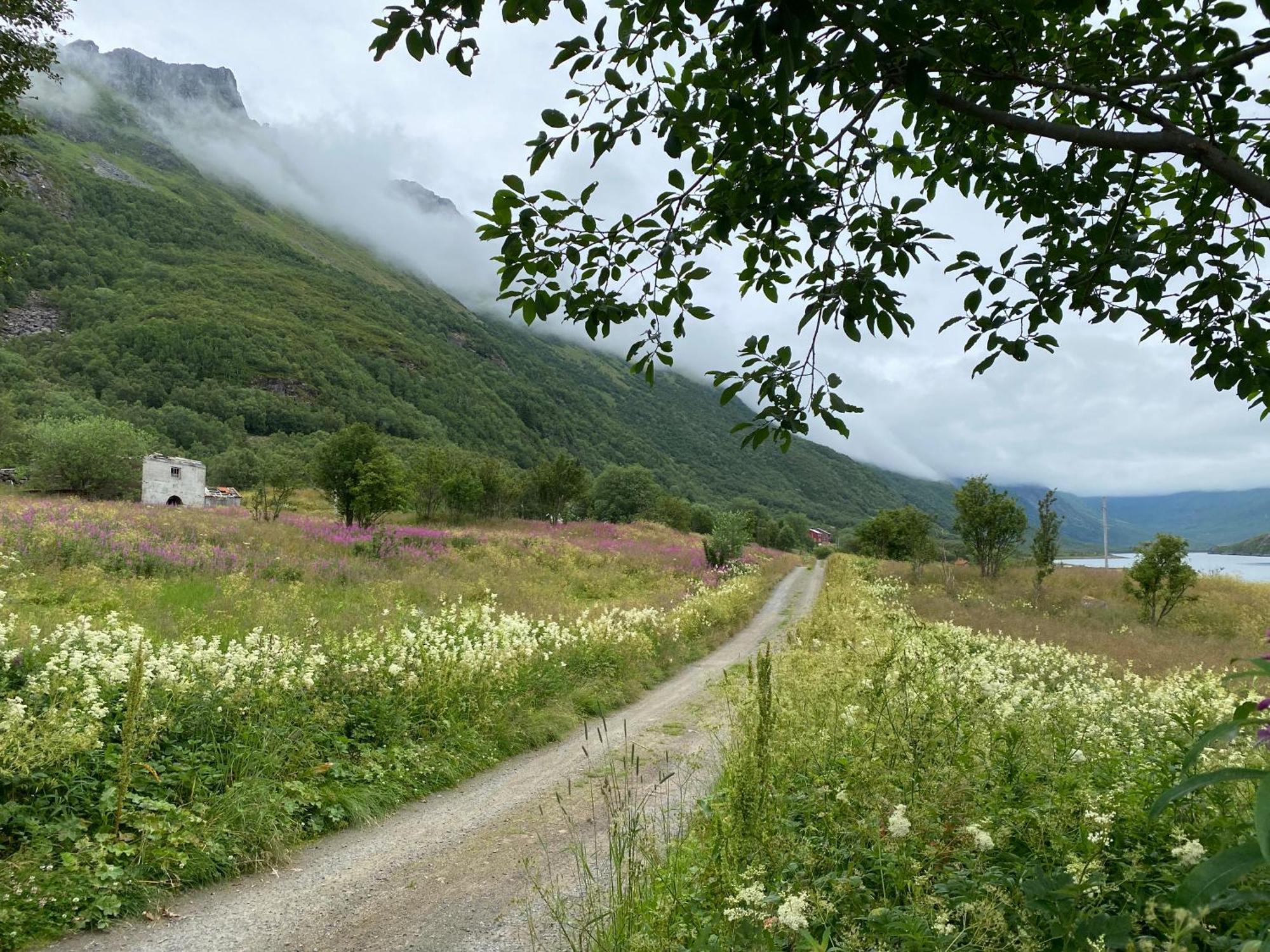 Wilderness House Villa Urda Exteriör bild
